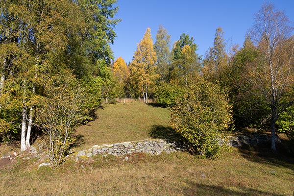 natura 2000