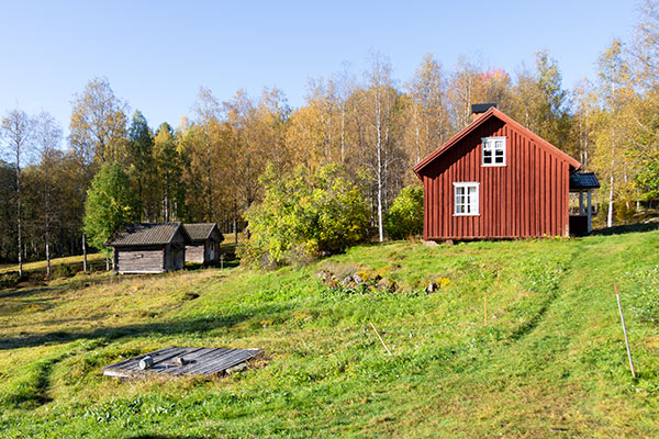 treskog