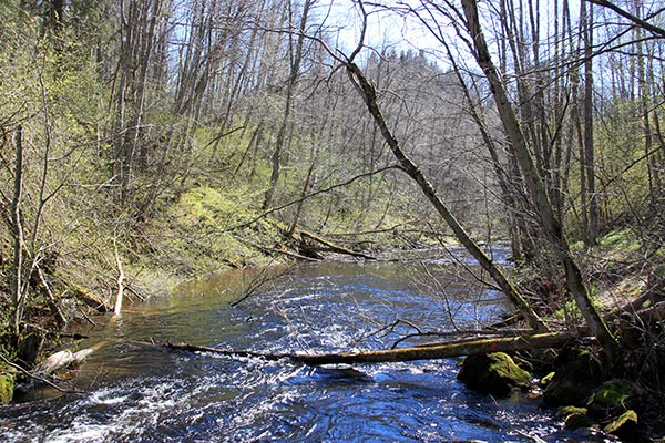 brattforsheden