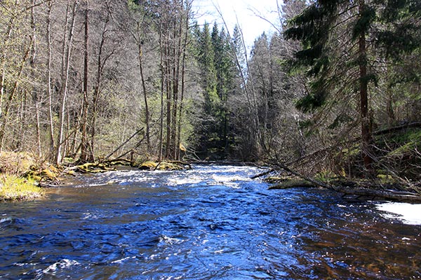 lungälvsravinen