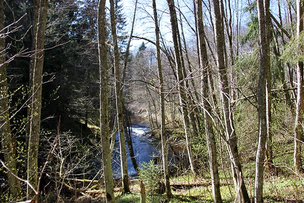 lungälvsravinerna