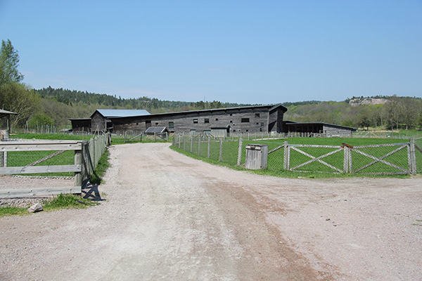 nordens ark