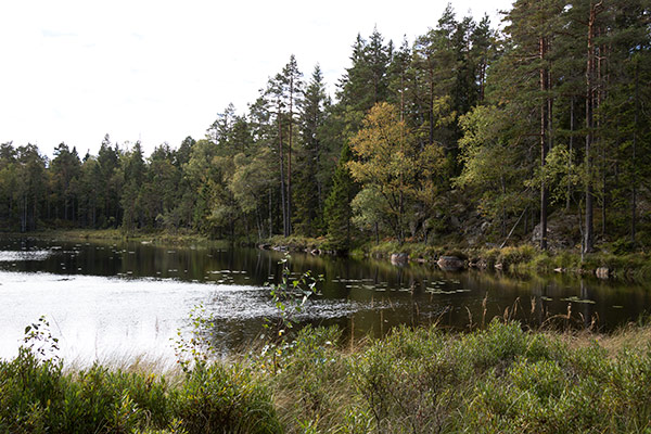ösjöskogen