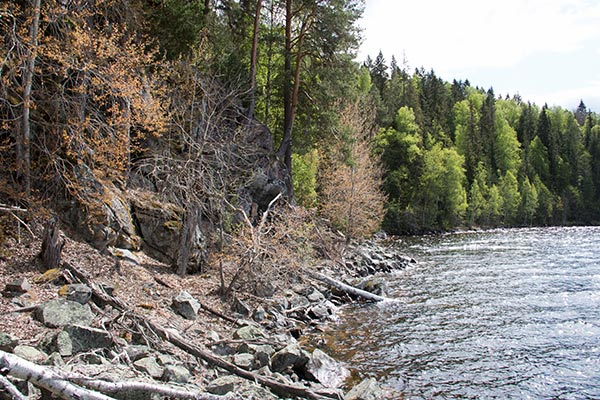 ränken