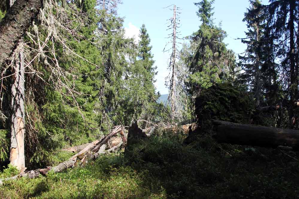 rännberg