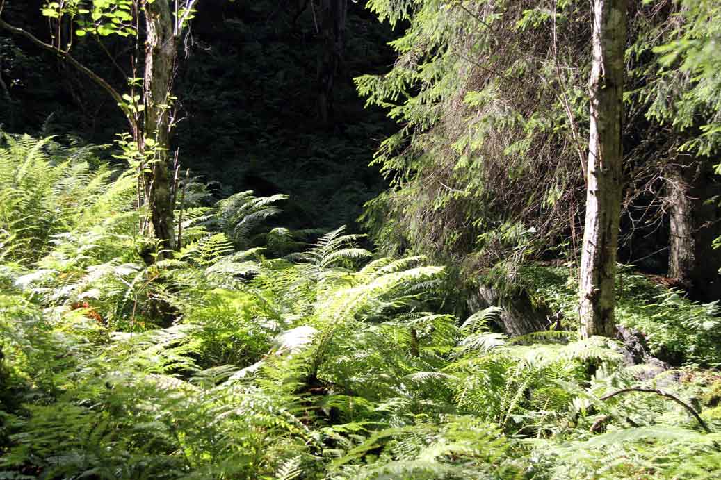rännberg