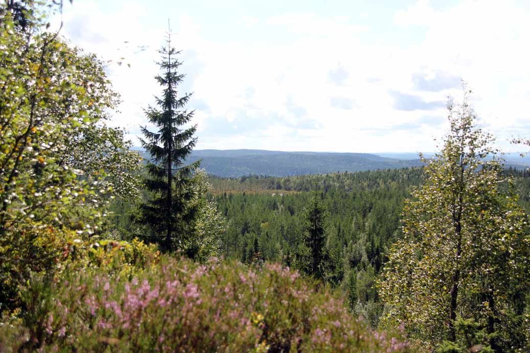 rännberg