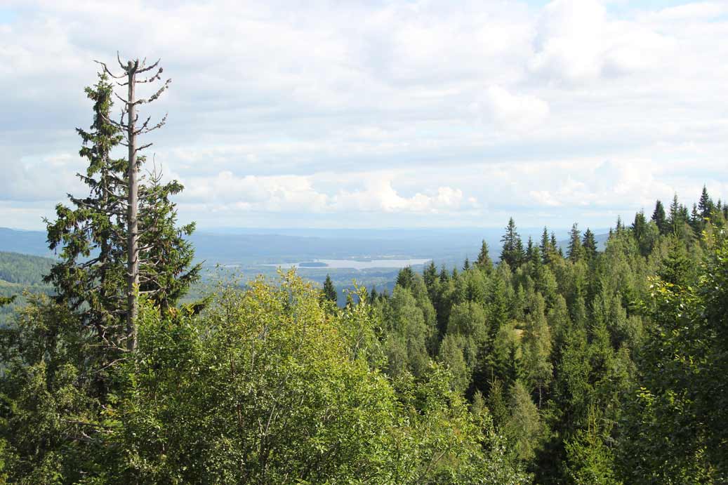 rännberg