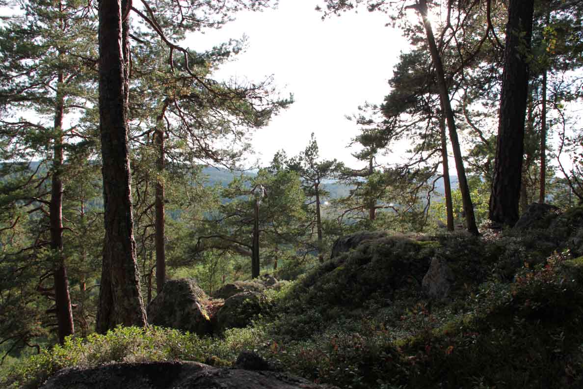 rennstadsnipan