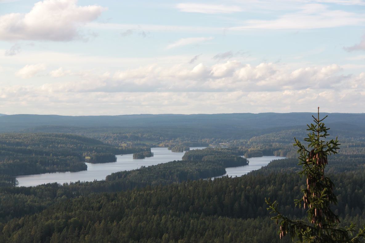 Rennstadsnipan