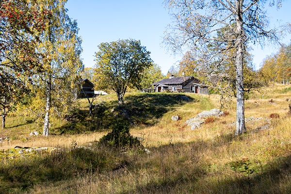 finngård