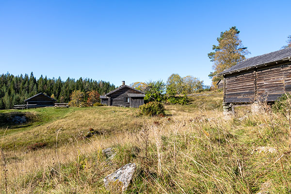 finnskogen