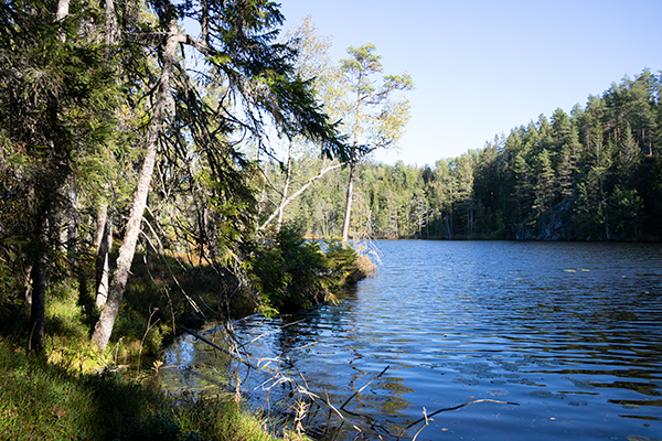 naturreservat