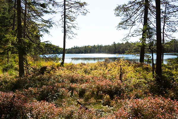 segolstorpshöjden