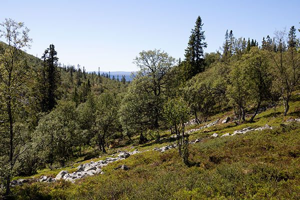 nationalpark