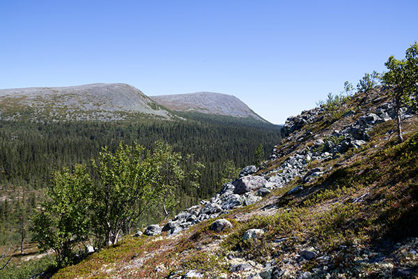 sonfjällets nationalpark