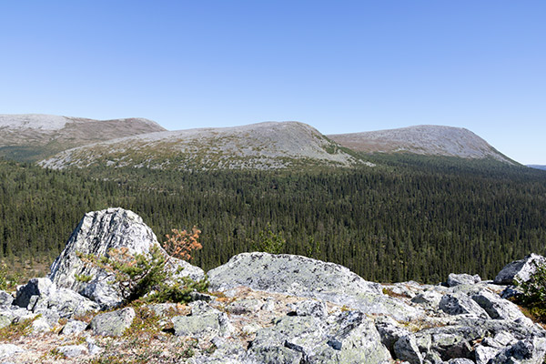 sonfjället