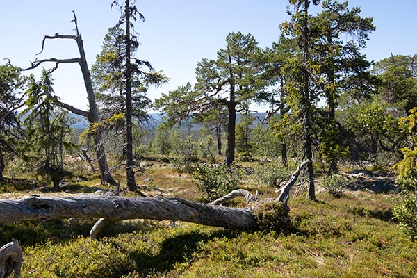 nationalpark