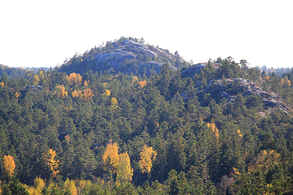 sörknatten