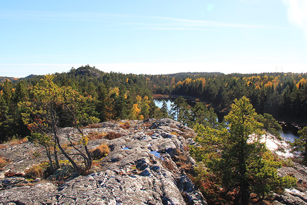 vildmark