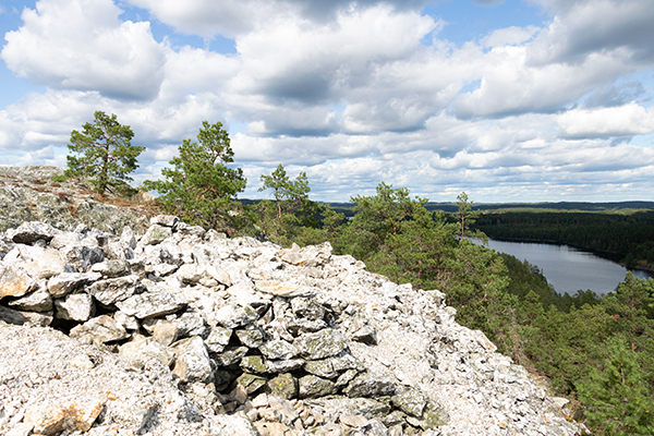 sörknatten