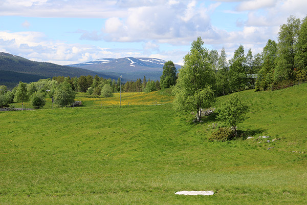 tännäs