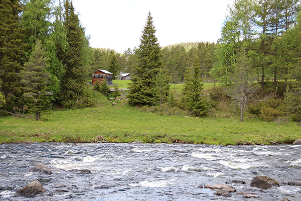 tännäs