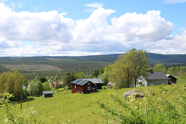 tännäs
