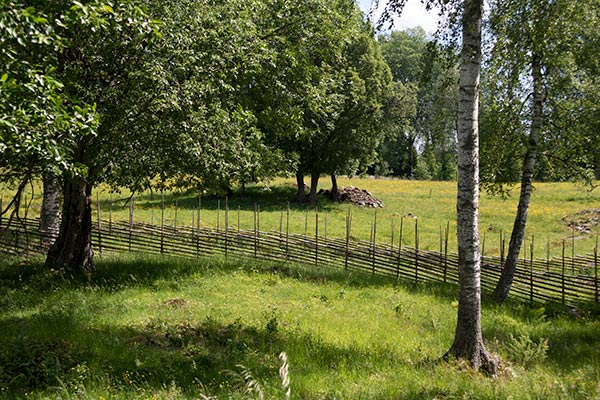 kulturlandskap