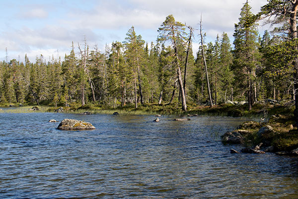 töfsingdalen