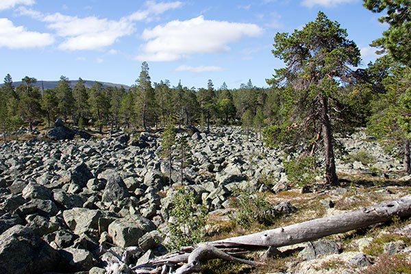 töfsingdalen