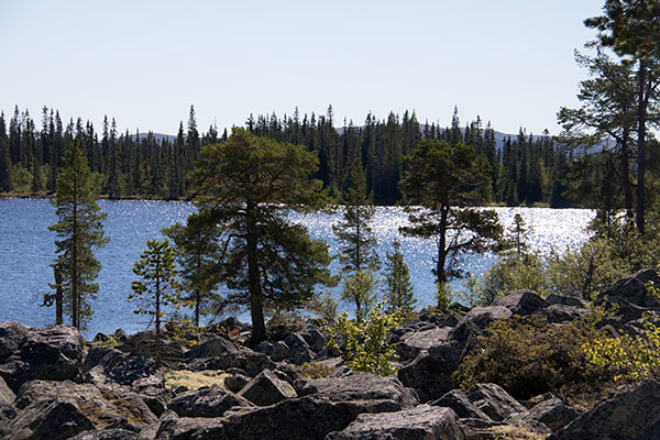 töfsingdalen
